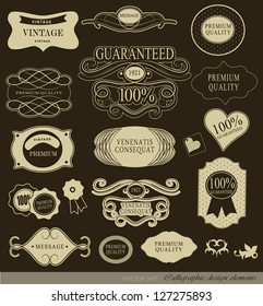 calligraphic design elements and page decoration/ vector set