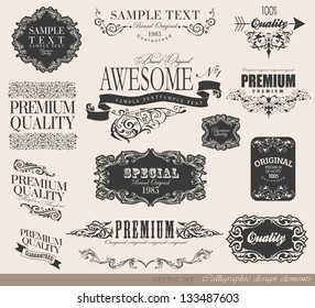 calligraphic design elements and page decoration/ vector set