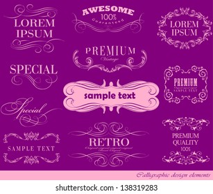 calligraphic design elements, page decoration and labels/ awesome, premium quality label