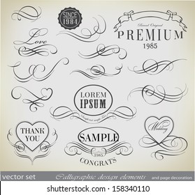 calligraphic design elements and page decoration/ invitation vector set