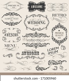 calligraphic design elements and page decoration/ vector set