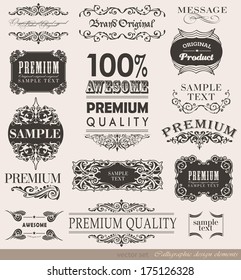 calligraphic design elements and page decoration/ vector set