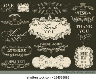 calligraphic design elements and page decoration/ vector set