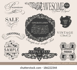 calligraphic design elements and page decoration/ vector set