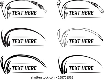 calligraphic design elements and page decoration