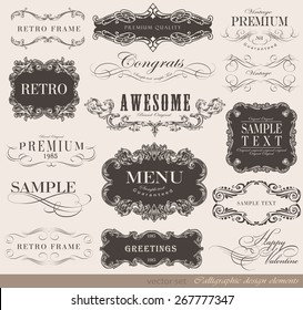 calligraphic design elements and page decoration/ vector set