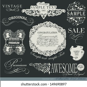 calligraphic design elements and page decoration/typography/ vector set