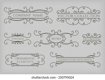 Calligraphic design elements. Vector set of page decorations