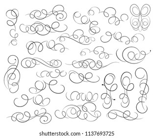 Calligraphic elegant elements of design.Vector illustration. Black on white.