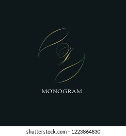 Calligraphic elegant ornament design of the vector logo. Identity monogram for a restaurant, boutique, hotel, heraldry, jewelry, business sign.