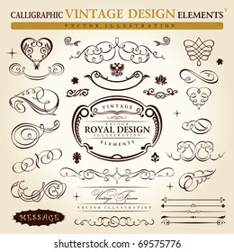 calligraphic elements vintage ornament set. Vector frame ornament decor