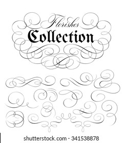 Calligraphic Flourishes Collection. Elegant Page Decoration Elements