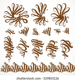 Calligraphic flourishes decorative elements for design on a white background