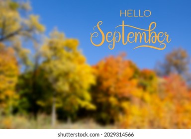 Calligraphic inscription: hello September. Against the background of a colorful autumn forest. Vector illustration