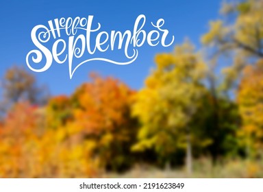 Calligraphic inscription: hello September. Against the background of a colorful autumn forest. Vector illustration