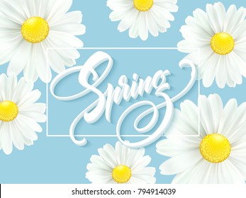 Calligraphic inscription Hello Spring with spring flower - blooming white daisy. Vector illustration EPS10