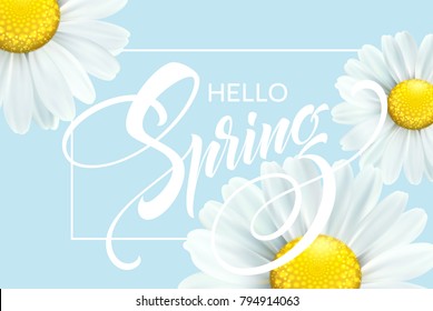 Calligraphic inscription Hello Spring with spring flower - blooming white daisy. Vector illustration EPS10