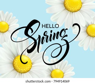 Calligraphic inscription Hello Spring with spring flower - blooming white daisy. Vector illustration EPS10