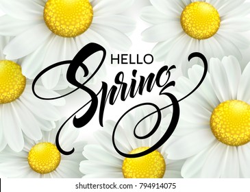 Calligraphic inscription Hello Spring with spring flower - blooming white daisy. Vector illustration EPS10