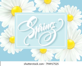 Calligraphic inscription Hello Spring with spring flower - blooming white daisy. Vector illustration EPS10
