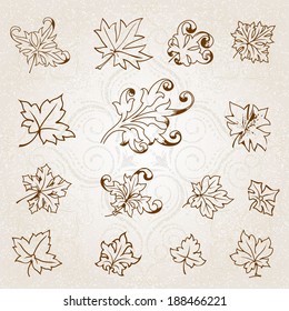 Calligraphic leaf design elements collection
