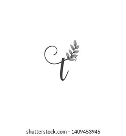 Calligraphic letter T with leaf.Hand drawn lowercase letter with natural element.Vector icon.Initial logo isolated on light background. 