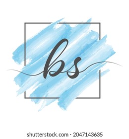 Calligraphic lowercase letters BS in a single line on a colored background in a frame. Vector illustration isolated on a white background. Creative design.
