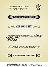 Calligraphic old elements vintage decor, vector