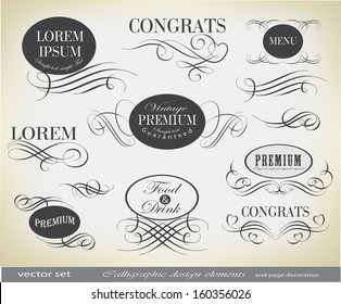 calligraphic retro elements and page decoration/ vector set/ old style