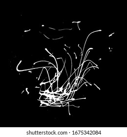 Calligraphic splash acrylic spot. Artistic and aesthetic, exquisite splash. Spontaneous imprint. Sketch vector contrast black and white splatter art style. Isolated vector illustration square format