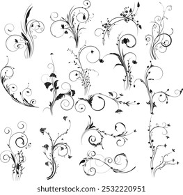 Calligraphic swirl flourish. Modern swirling flourishes, wreath, romantic card decorative swirl and wedding card decor curls swirles dividers set. Black curly thin lines, filigree ornaments baroque