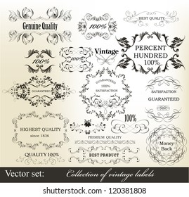 Calligraphic vector
