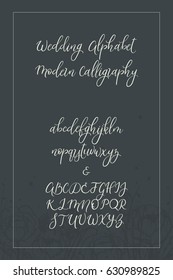 Calligraphic vector font. Uppercase, lowercase, ampersand. Wedding brush calligraphy. Handwritten script alphabet