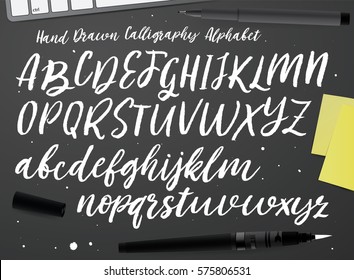 Calligraphic Vector Script Font. 