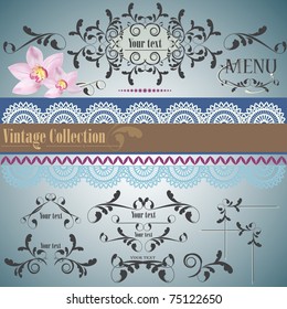 Calligraphic vintage design elements and page decoration. Vector set