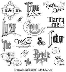 Calligraphic Wedding Elements - for design and scrapbook - in vector 