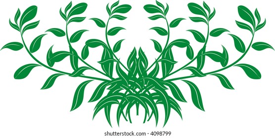 Calligraphical figures created for registration of pages, books, diplomas.