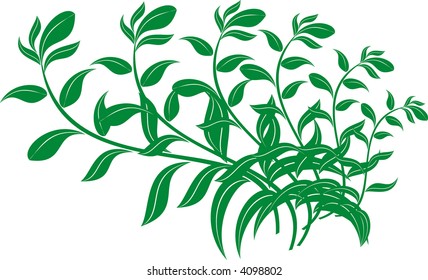Calligraphical figures created for registration of pages, books, diplomas.