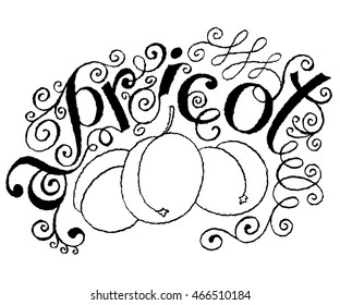 Calligraphical Inscription Apricot. Hand drawn Fruit Label with Swirl, Curl and Crunge Effect.