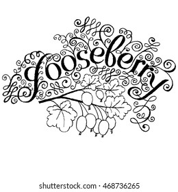 Calligraphical Inscription Gooseberry.  Hand drawn Fruit Label with Swirl, Curl and Crunge Effect.