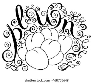 Calligraphical Inscription Plum.  Hand drawn Fruit Label with Swirl, Curl and Crunge Effect.