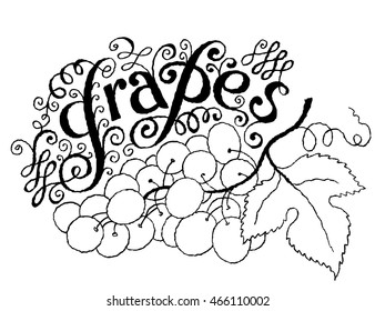 Calligraphical Lettering Grapes. Hand drawn Fruit Label with Swirl, Curl and Crunge Effect.