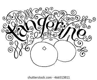 Calligraphical Lettering Tangerine. Hand drawn Fruit Label with Swirl, Curl and Crunge Effect.