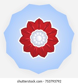 calligraphy abstract floral symmetry  element vector eps