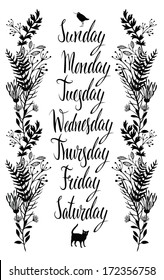 Calligraphy Days of the week, flowers, cat and bird
