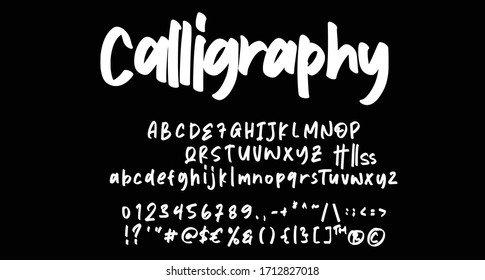 Calligraphy Font Handwritten Script Brush Font Type Font Lettering Handwritten