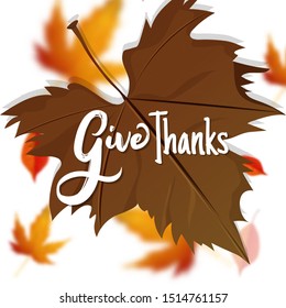 Calligraphy of Give Thanks message on maple leaves background. Can be used as greeting card design.
