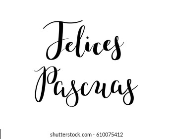 Calligraphy hand-drawn Felices Pascuas lettering in Spanish. Religious holiday design