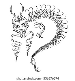 Calligraphy ink dragon hand drawn by pen in vector