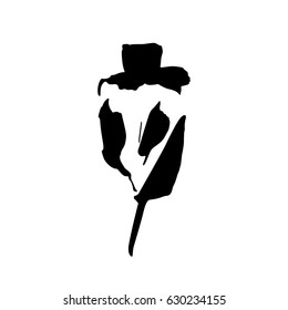 Calligraphy ink iris. Stylized vector flower logo.